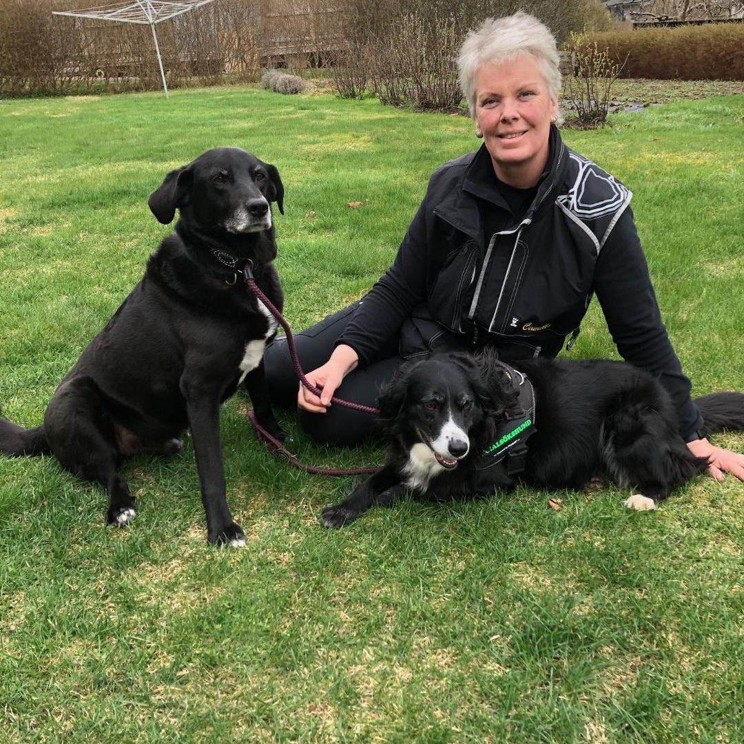 Camillas Specialsök